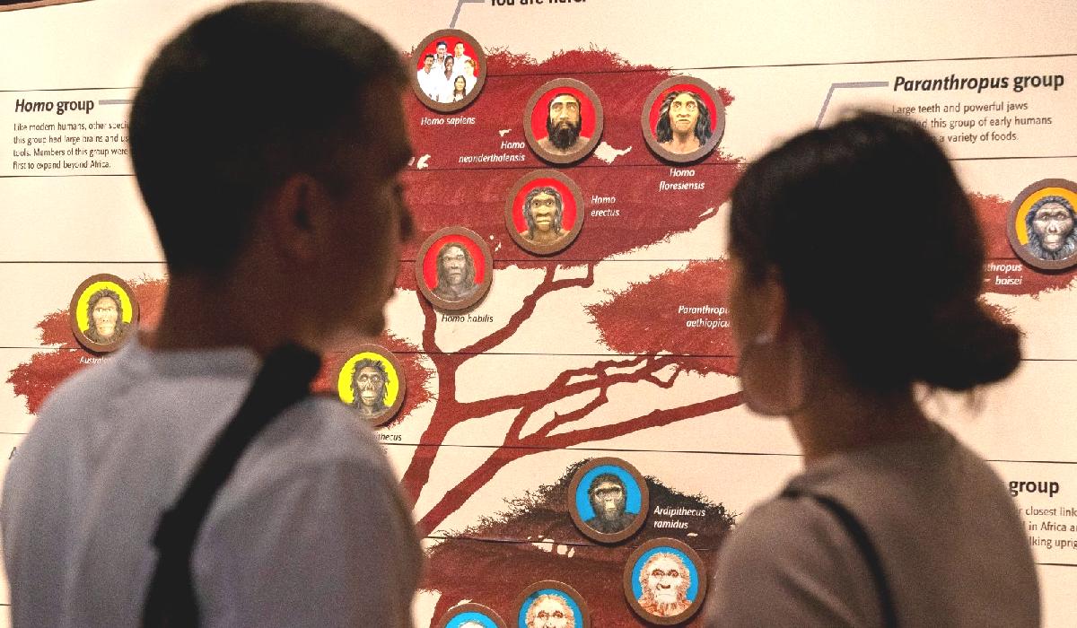 Modern insanların 40 bin yıl önce yok olmaktan nasıl kurtulduğu ortaya çıktı