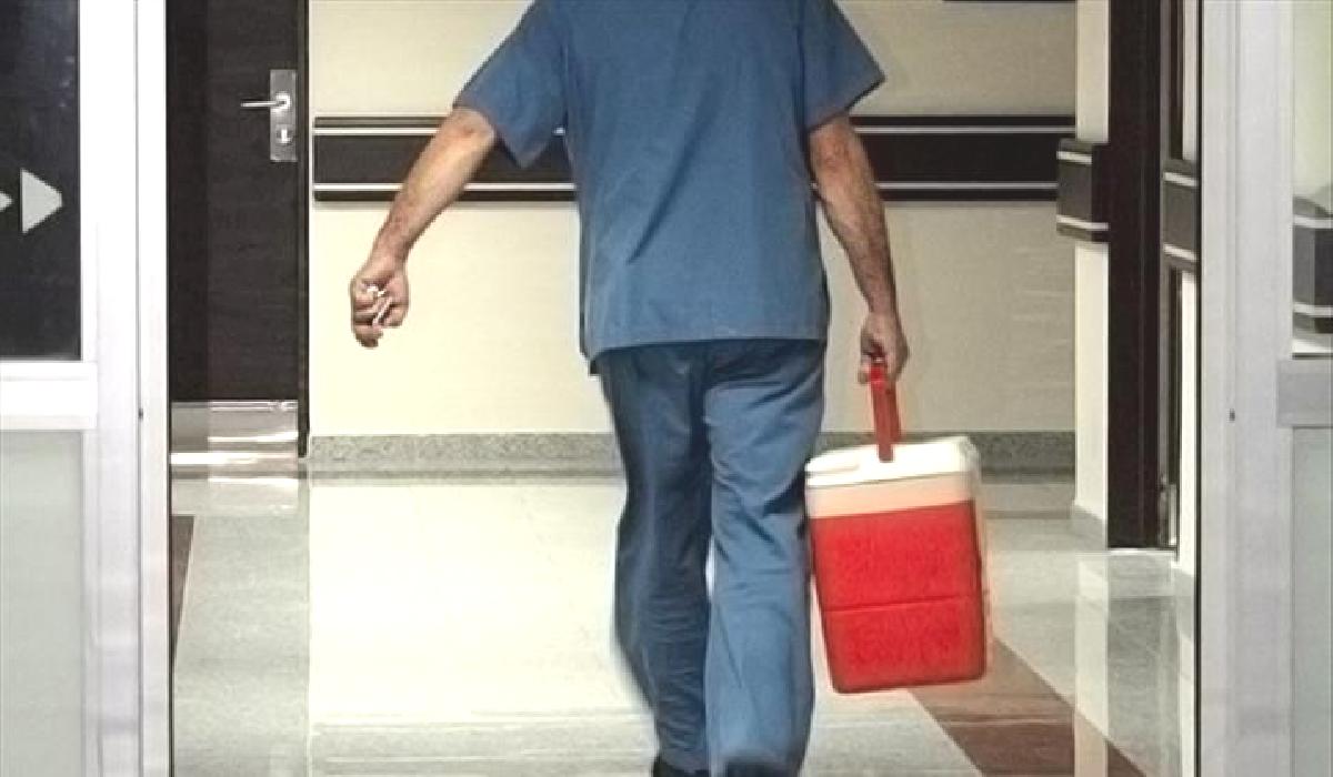 Organ bağışında yeni dönem: e-Devlet ve e-Nabız’dan yapılabilecek