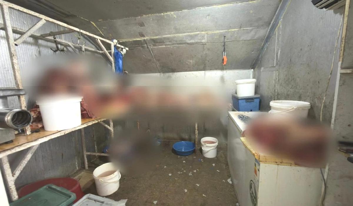 Eskişehir’de at kesimi yapan işletmeye operasyon: 215 kilo at eti ele geçirildi